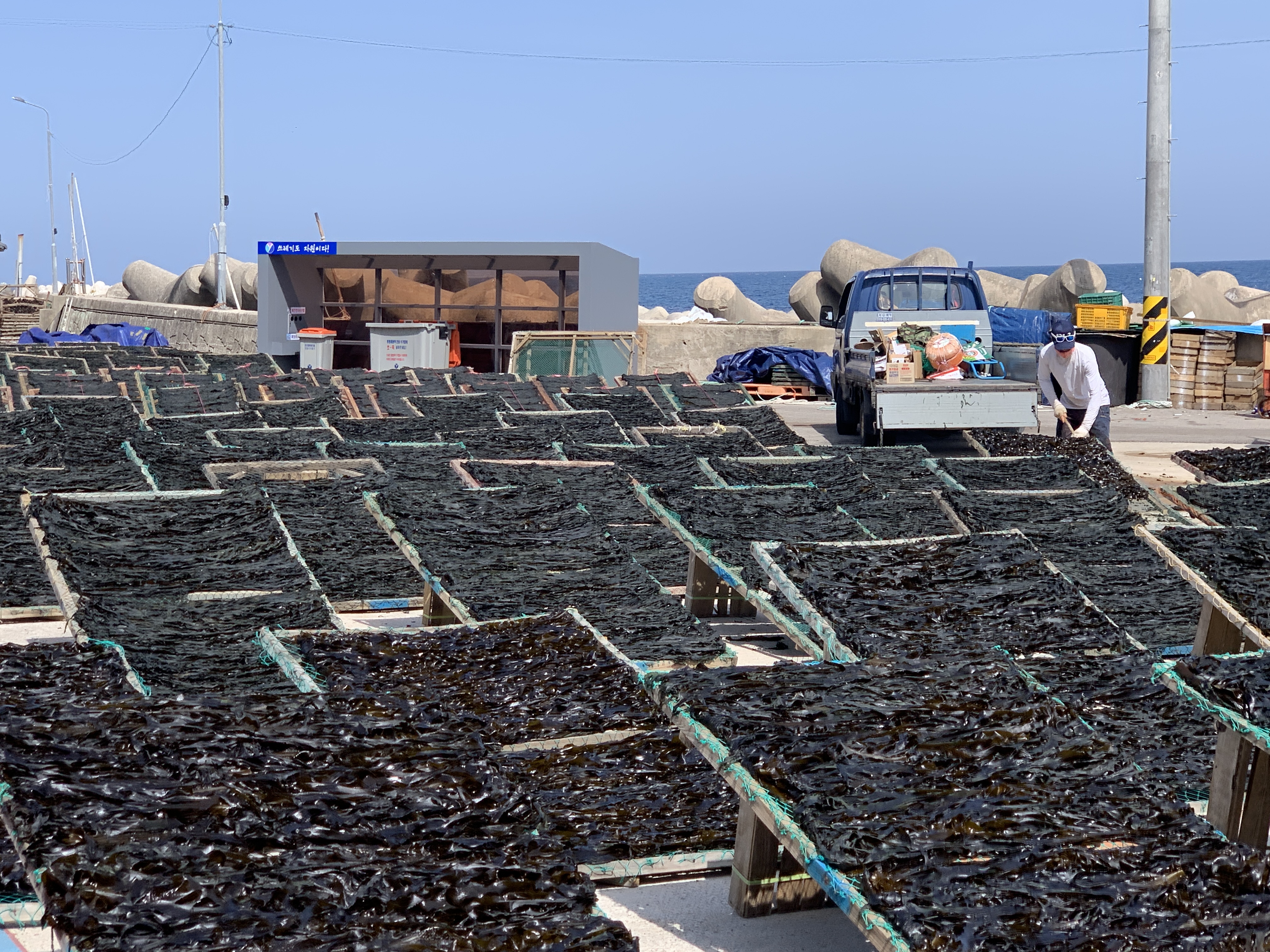 동해안 어업기술문화