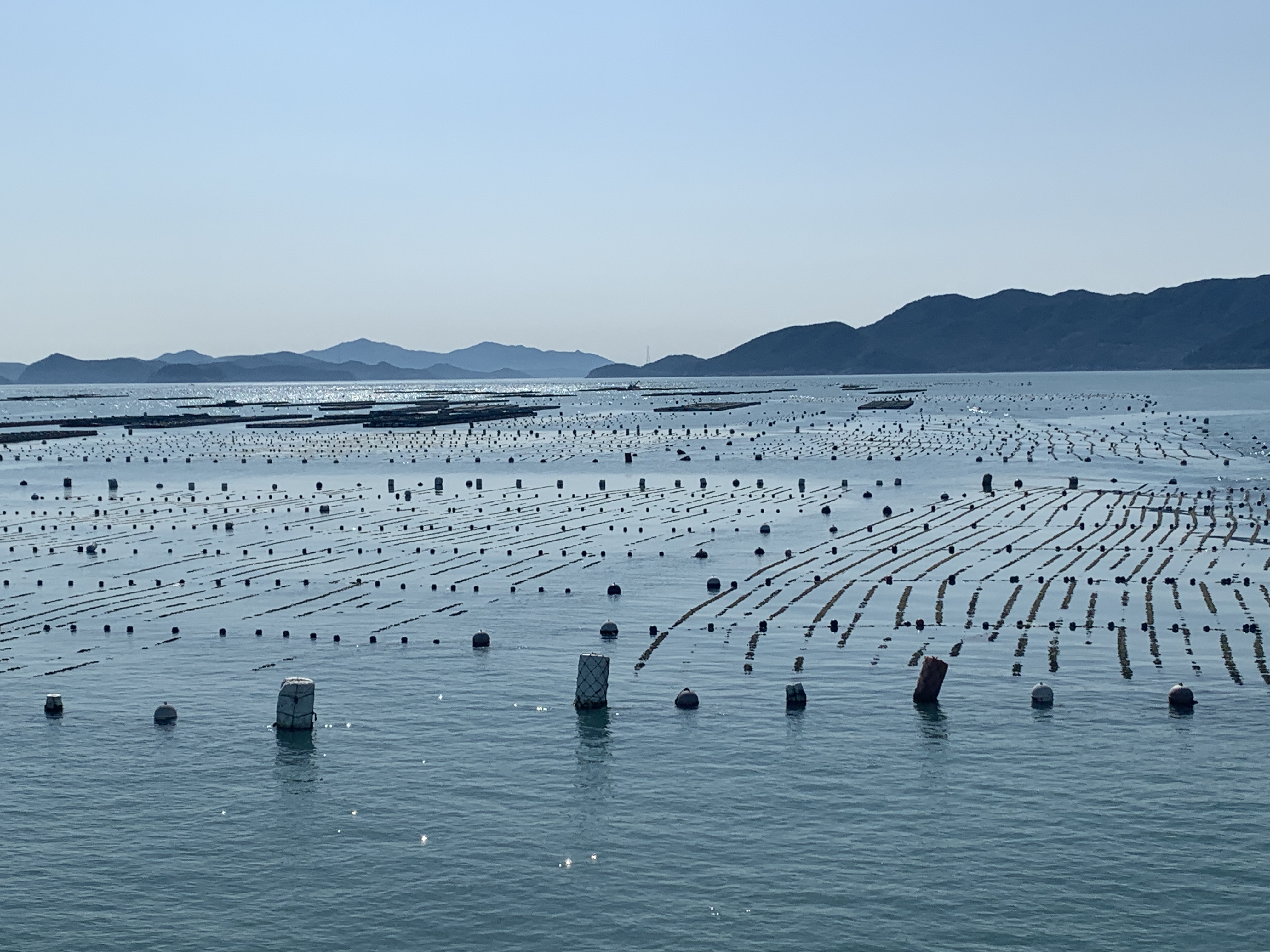 남해안 어업기술문화3