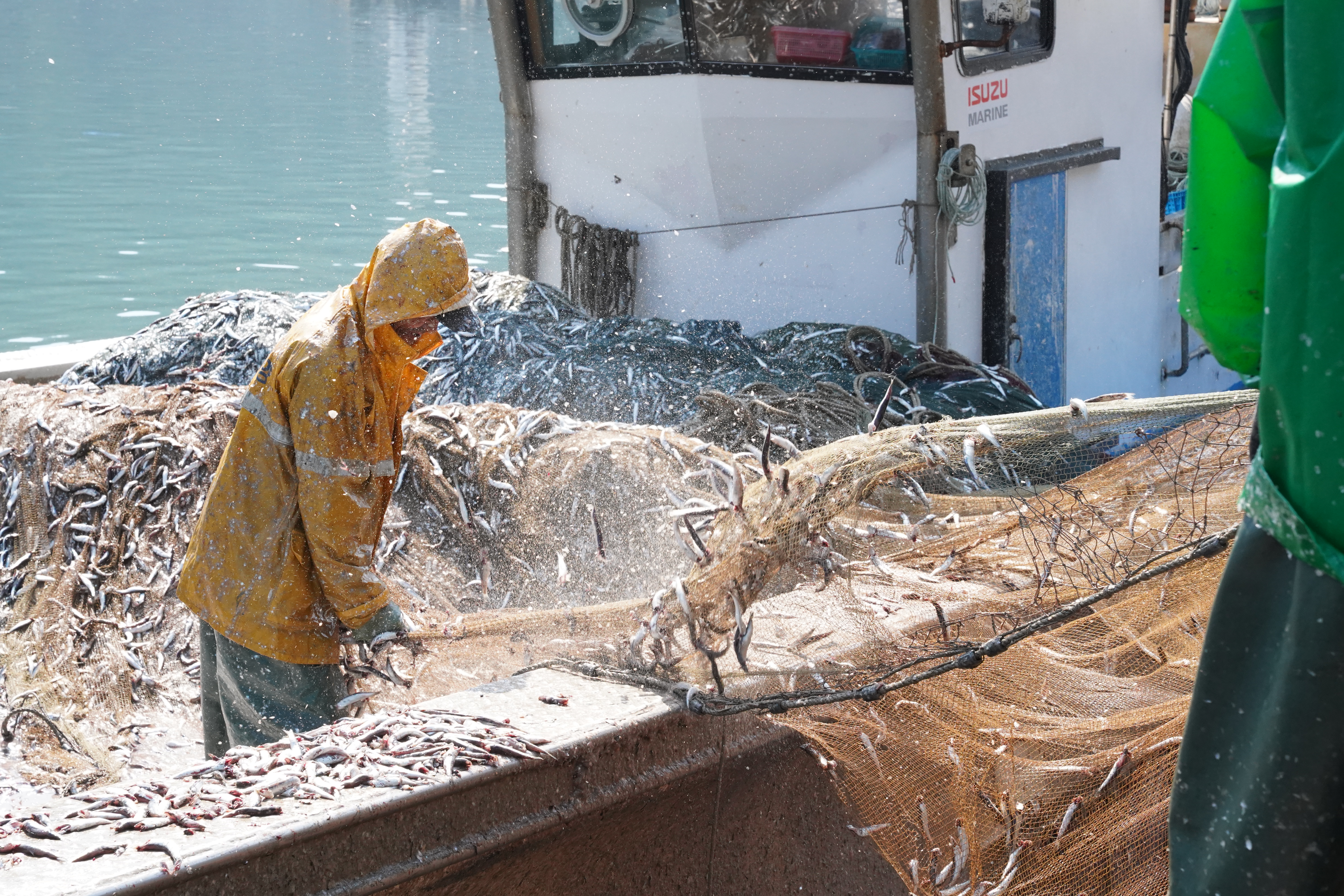 남해안 어업기술문화