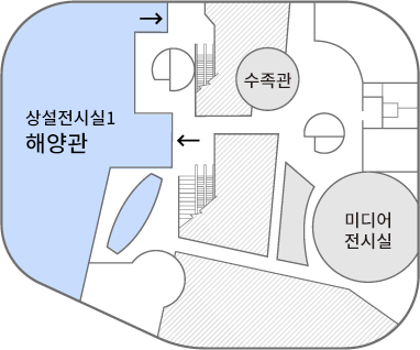 3층 상설전시실1 해양관 단면도 그림입니다. 중앙 에스컬레이터를 올라오면 왼쪽 방향에 위치해 있습니다. 반대 방향에는 수족관, 미디어 전시실이 있습니다.