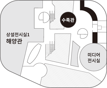 3층 수족관 단면도 그림입니다. 중앙 에스컬레이터를 올라오면 오른쪽 방향에 수족관이 위치해 있습니다. 수족관을 나와 아래로 내려가면 미디어 전시실이 있습니다. 수족관 왼쪽에 상설전시실1 해양관이 있습니다.