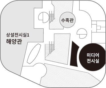 3층 미디어전시실 단면도 그림입니다. 미디어전시실은 중앙 수족관을 중심으로 오른쪽 아래 위치해있습니다. 수족관 왼쪽으로 상설전시실1 해양관이 있습니다.