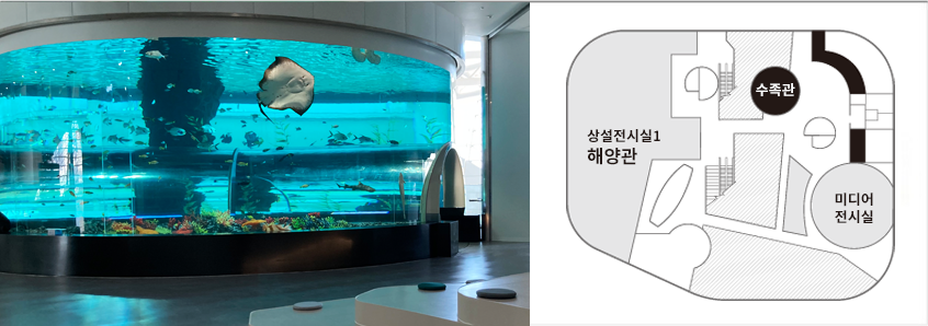 왼쪽은 원형 수족관 속 가오리와 다양한 물고기가 있는 사진, 오른쪽은 3층 단면도 그림이 있습니다.
중앙 에스컬레이터를 올라오면 오른쪽 방향에 수족관이 위치해 있습니다.
수족관을 나와 아래로 내려가면 미디어 전시실이 있습니다.
수족관 왼쪽에 상설전시실1 해양관이 있습니다.