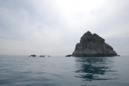 (영해기점 13) 제주 절명서