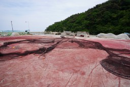 경상남도 남해군 호망