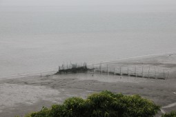 전남 신안 지도 점암선착장 각망