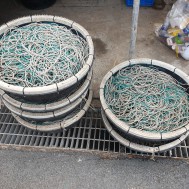 경상남도 거제 장승포항 장어주낙