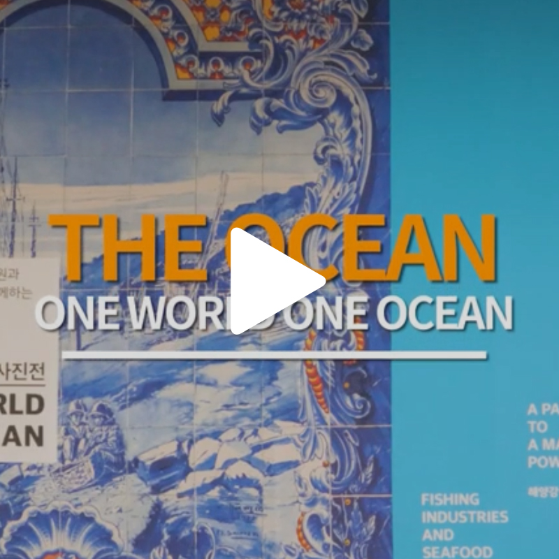 [영상뉴스]The Oean 사진전 「ONE WORLD ONE OCEAN」