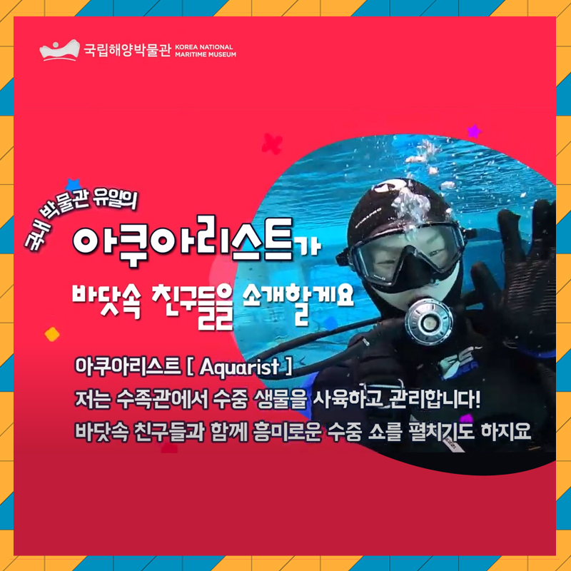 [영상뉴스] 국립해양박물관 수족관과 아쿠아리스트를 만나다!