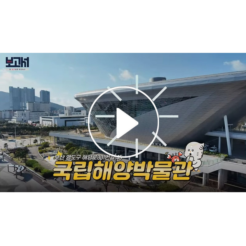 [부산일보 보고서] 국립해양박물관 전시 준비의 A to Z 항해와 시계 기획전시