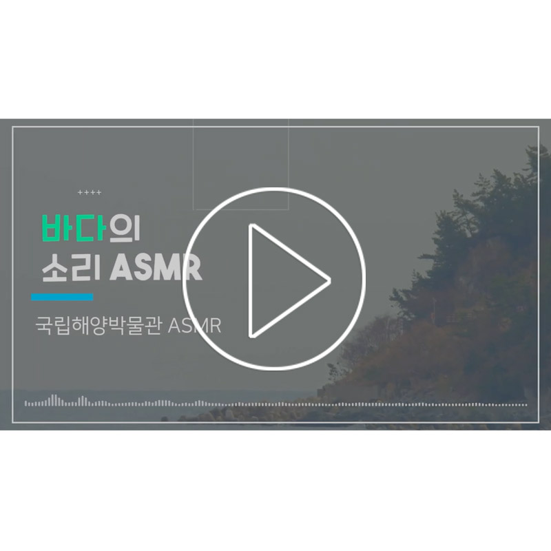 [해박TV] 국립해양박물관 ASMR