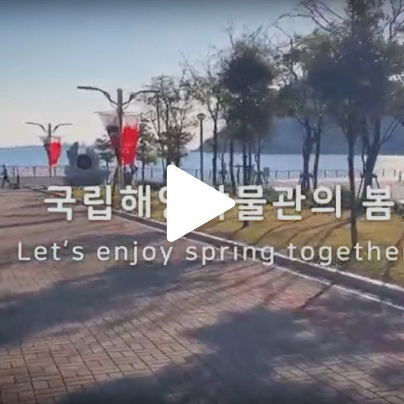 [영상뉴스]2019 국립해양박물관의 사계: 봄