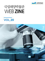 20호(2018.11-12)