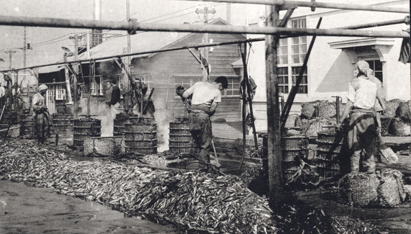 Fish Oil Factory in Cheongjin Port  Photograph Postcard