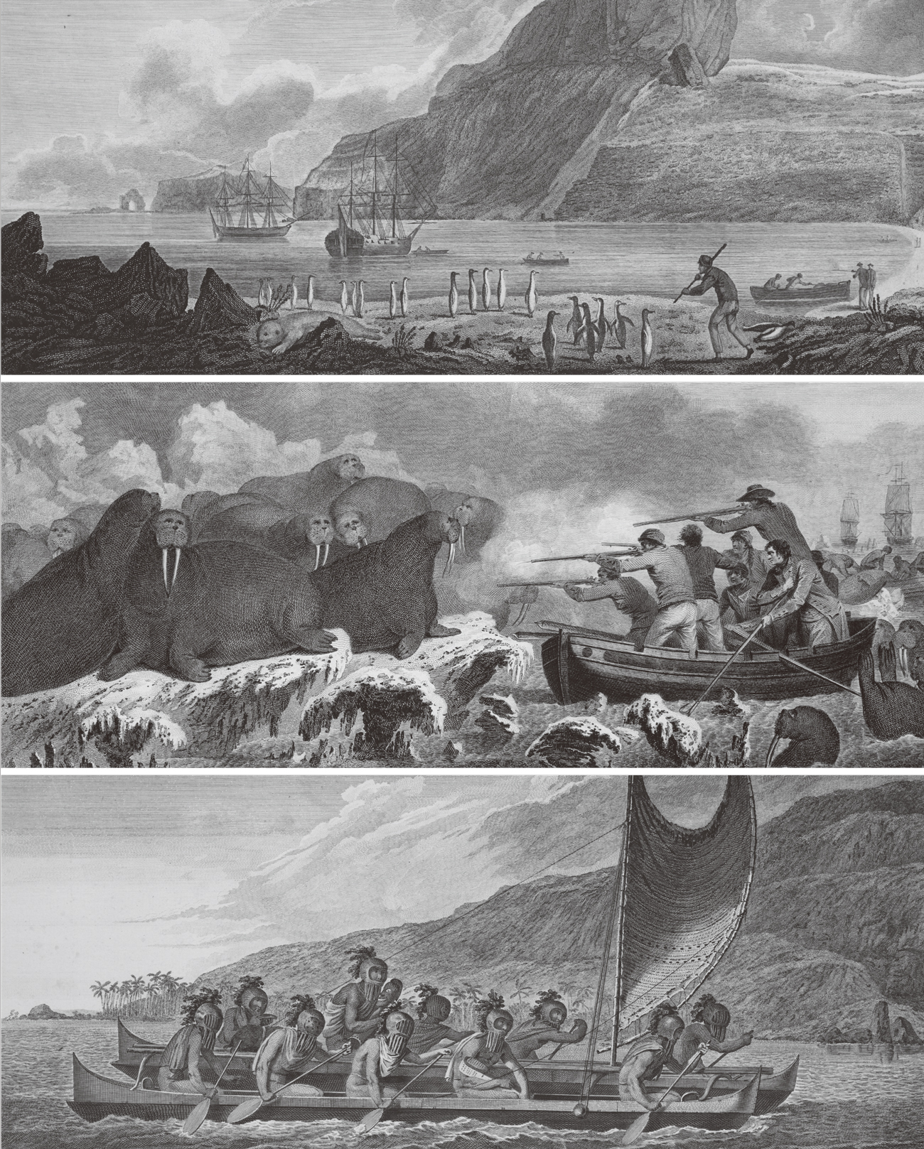제임스 쿡 선장의 항해기(Account of Captain Cook’s Voyage)3