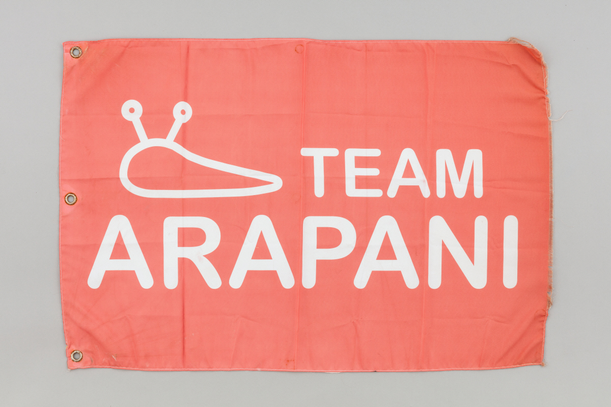 팀아라파니 깃발