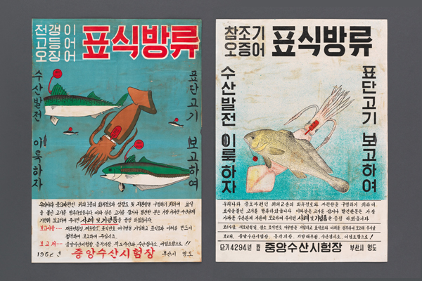 Poster of Releasing Marking Fish 