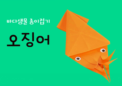 바다생물 종이접기 오징어