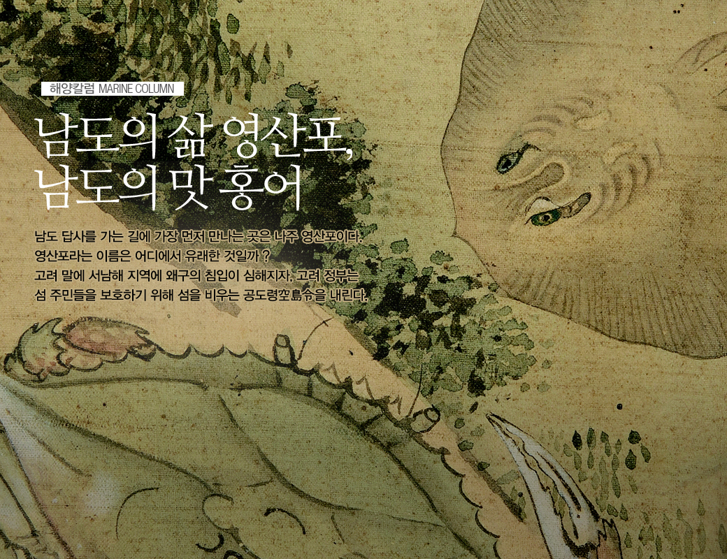 해양칼럼 MARINE COLUMN 남도의 삶 영산포, 남도의맛 홍어 남도 답사를 가는 길에 가장 먼저 만나는 곳은 나주 영산포이다. 영산포라는 이름은 어디에서 유래한 것일까? 고려 말에 서남해 지역에 왜구의 침입이 심해지자, 고려 정부는 섬 주민들을 보호하기 위해 섬을 비우는 공도령을 내린다.