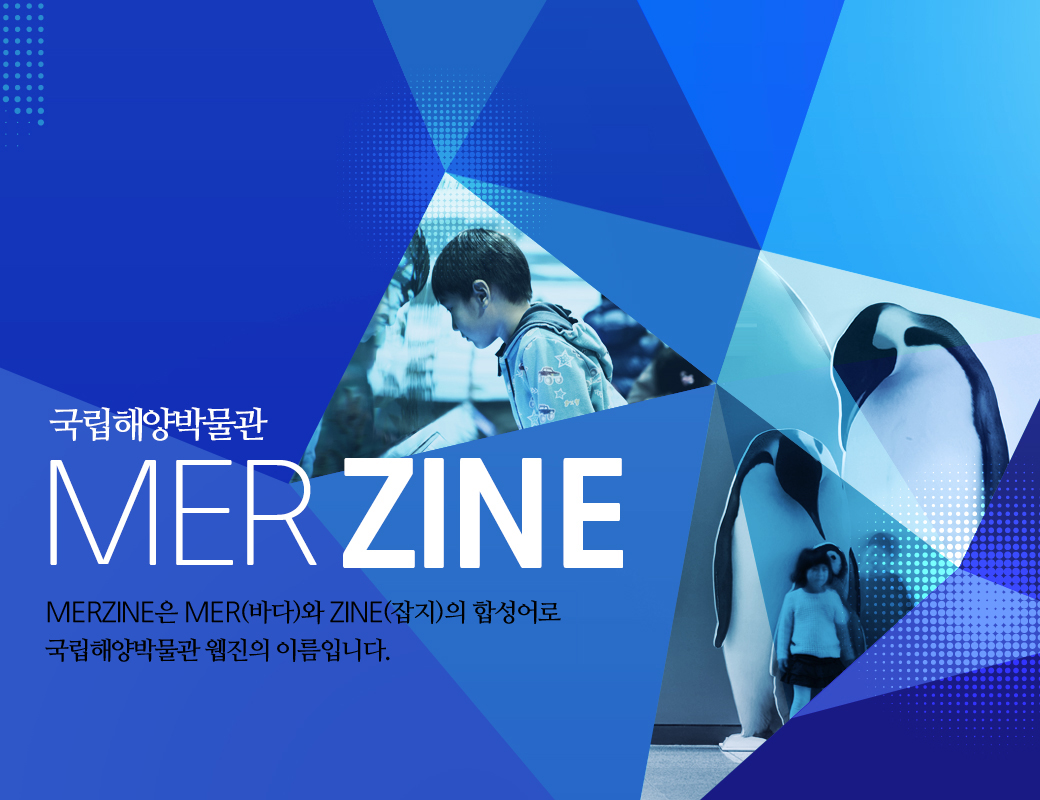 국립해양박물관 MER ZINE MERZINE 은 MER(바다)와 ZINE(잡지)의 합성어로 국립해양박물관 웹진의 이름입니다.