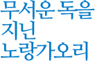 무서운 독을 지닌 노랑가오리