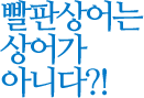 빨판상어는 상어가 아니다?!