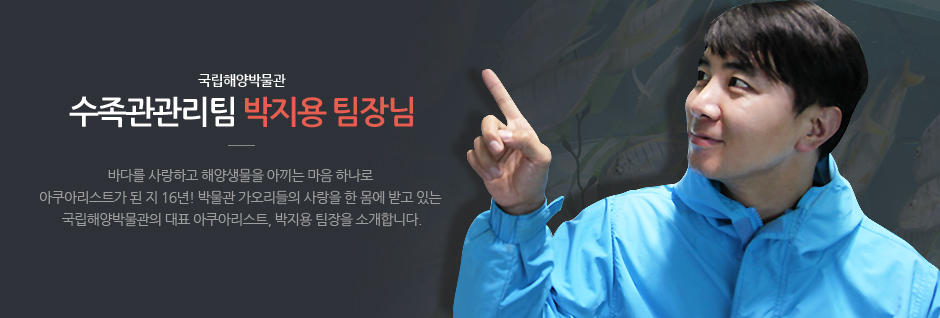 국립해양박물관 수족관관리팀 박지용 팀장님. 바다를 사랑하고 해양생물을 아끼는 마음 하나로 아쿠아리스트가 된 지 16년! 박물관 가오리들의 사랑을 한 몸에 받고 있는 국립해양박물관의 대표 아쿠아리스트, 박지용 팀장을 소개합니다.