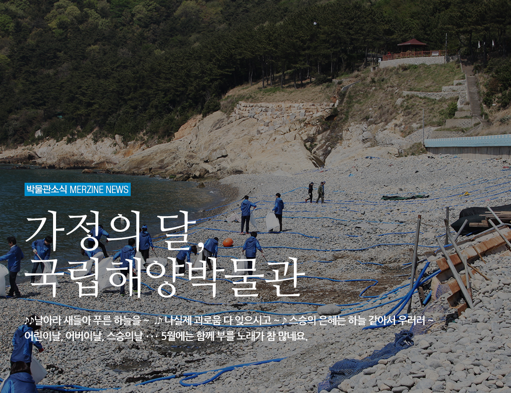 박물관소식 MERZINE NEWS 가정의 달, 국립해양박물관 날아라 새들아 푸른하늘을 ~ 나 실제 괴로움 다 잊으시고~ 스승의 은혜는 하늘 같아서 우러러~ 어린이날, 어버이날, 스승의날.. 5월에는 함께 부를 노래가 참 많네요.