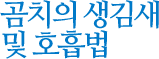 곰치의 생김새 및 호흡법