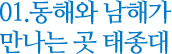 01. 동해와 남해가 만나는 곳 태종대