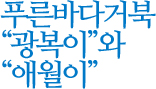 푸른바다거북 '광복이'와 '애월이'