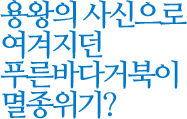 지구 아이콘