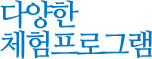 다양한 체험프로그램