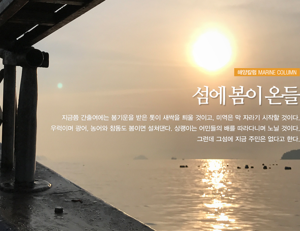 해양칼럼 MARINE COLUM 섬에 봄이 온들. 지금쯤 간출여에는 봄기운을 받은 톳이 새싹을 틔울 것이고, 미역은 막 자라기 시작할 것이다. 우럭이며 광어, 농어와 참돔도 봄이면 설쳐댄다. 상괭이는 어민들의 배를 따라다니며 노닐 것이다. 그런데 그 섬에 지금 주민은 없다고 한다.