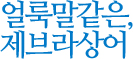 얼룩말같은,제브라상어