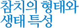 참치의 형태와 생태 특성