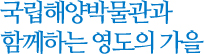 국립해양박물관과 함께하는 영도의 가을