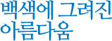 백색에 그려진 아름다움