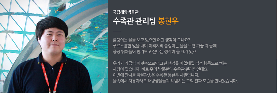 국립해양박물관 수족관 관리팀 봉현우. 출렁이는 물을 보고 있으면 어떤 생각이 드나요? 푸르스름한 빛을 내며 이리저리 출렁이는 물을 보면 가끔 저물에 풍덩 뛰어들어 안겨보고 싶다는 생각이 들 때가 있죠. 우리가 가끔씩 머릿속으로만 그린 생각을 매일매일 직접 행동으로 하는 사람이 있습니다. 바로 우리 박물관의 수족관 관리팀인데요, 이번에 만나볼 박물관人은 수족관 봉현우 사원입니다. 물속에서 자유자재로 해양생물들과 헤엄치는 그의 진짜 모습을 만나봤습니다.