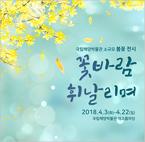 국립해양박물관 소규모 봄꽃 전시 ‘꽃바람 휘날리며’ 2018년 4월 3일 화요일부터 4월 22일 일요일까지 국립해양박물관 해오름마당