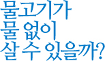물고기가 물 없이 살 수 있을까?