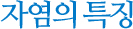 자염의 특징