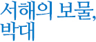 서해의 보물, 박대