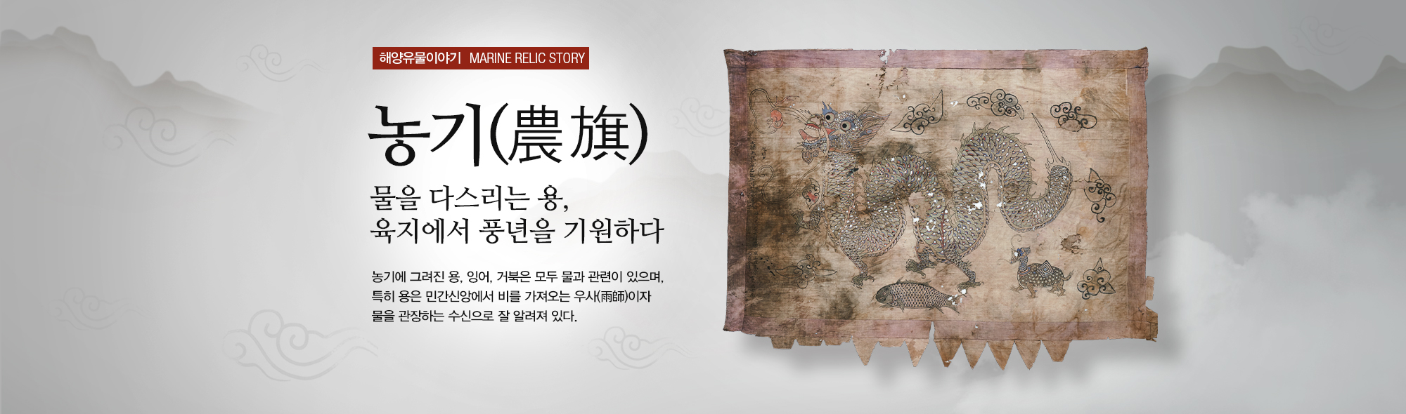 해양유물이야기 MARINE RELIC STORY 농기(農旗) 물을 다스리는 용, 육지에서 풍년을 기원하다. 농기에 그려진 용, 잉어, 거북은 모두 물과 관련이 있으며, 특히 용은 민간싱앙에서 비를 가져오는 우사(雨師)이자 물을 관장하는 수신으로 잘 알려져 있다.
