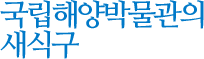 국립해양박물관의 새식구