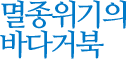 멸종위기의 바다거북