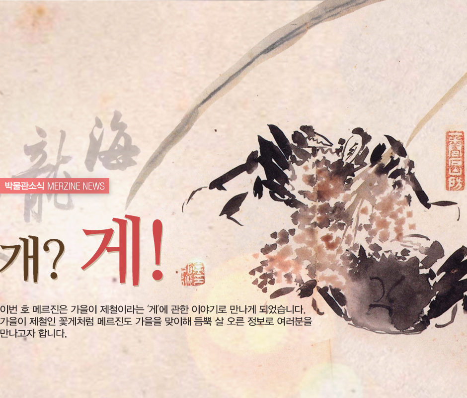 박물관소식 MERZINE NEWS 개? 게! 이번 호 메르진은 가을이 제철이라는 '게'에 관한 이야기로 만나게 되었습니다. 가을이 제철인 꽃게처럼 메르진도 가을을 맞이해 듬뿍 살 오른 정보로 여러분을 만나고자 합니다. (붓과 묵으로 그려진 게 그림)