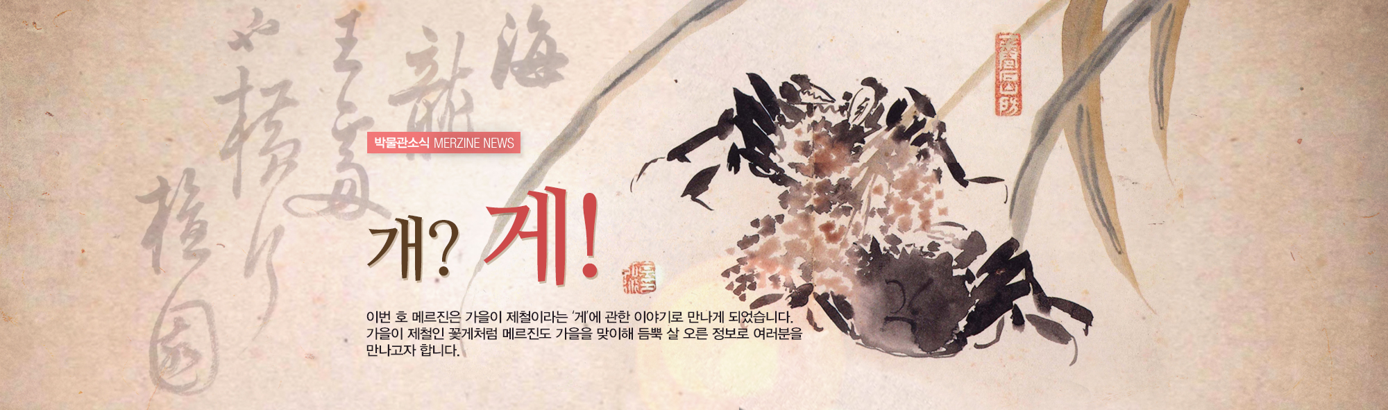 박물관소식 MERZINE NEWS 개? 게! 이번 호 메르진은 가을이 제철이라는 '게'에 관한 이야기로 만나게 되었습니다. 가을이 제철인 꽃게처럼 메르진도 가을을 맞이해 듬뿍 살 오른 정보로 여러분을 만나고자 합니다. (붓과 묵으로 그려진 게 그림)