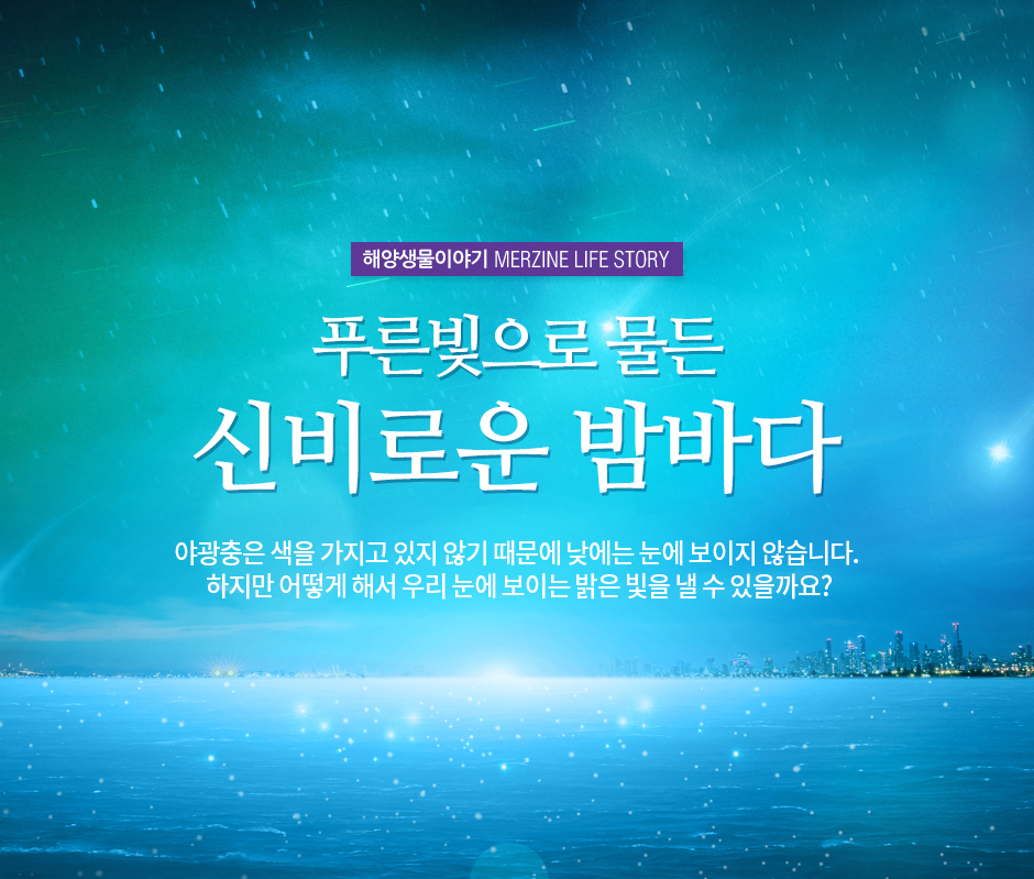 해양생물이야기 MERZINE LIFE STORY 푸른빛으로 물든 신비로운 밤바다 야광충은 색을 가지고 있지 않게때문에 낮에는 눈에 보이지 않습니다. 하지만 어떻게 해서 우리 눈에 보이는 밝은 빛을 낼 수 있을까요? (바다위로 별똥별에 떨어지는 모습)