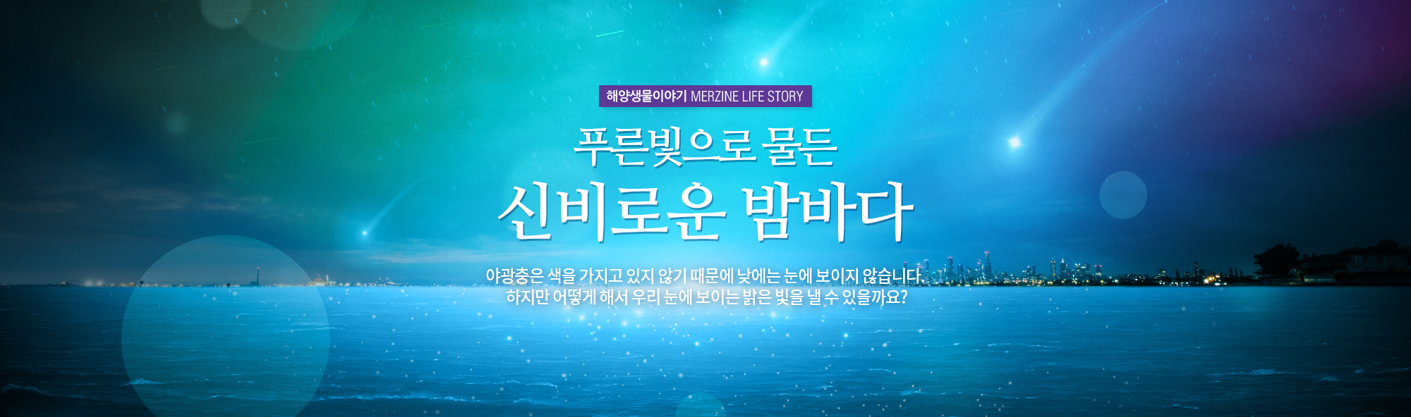 해양생물이야기 MERZINE LIFE STORY 푸른빛으로 물든 신비로운 밤바다 야광충은 색을 가지고 있지 않게때문에 낮에는 눈에 보이지 않습니다. 하지만 어떻게 해서 우리 눈에 보이는 밝은 빛을 낼 수 있을까요? (바다위로 별똥별에 떨어지는 모습)